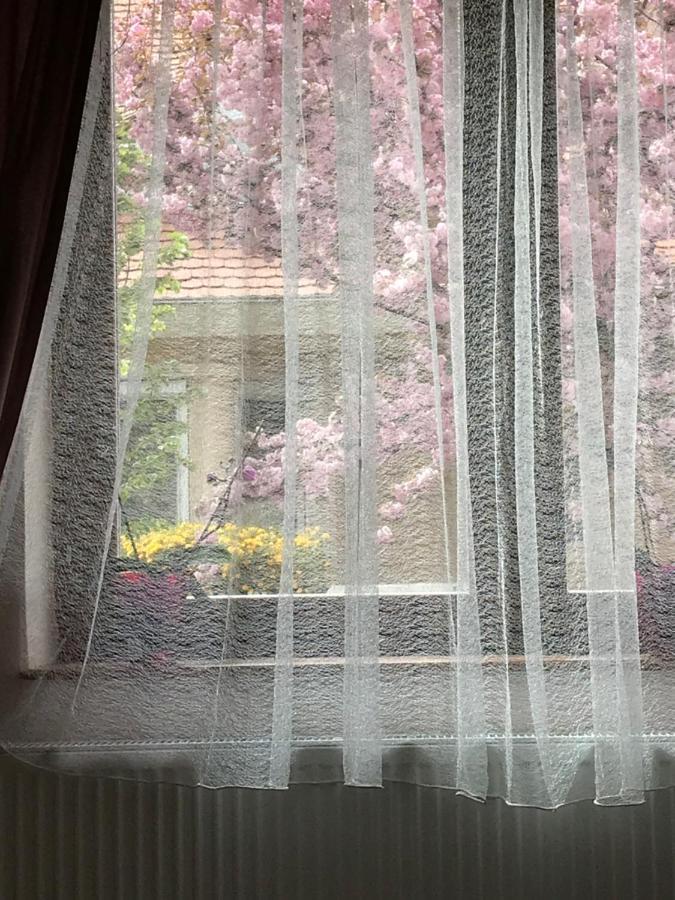 Casa Marherita Appartman Hajduszoboszlo Exterior foto