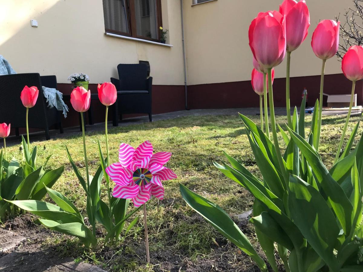 Casa Marherita Appartman Hajduszoboszlo Exterior foto